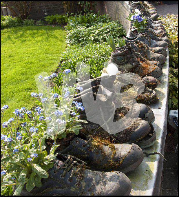 vvbvanbree bloemen en planten j  3167